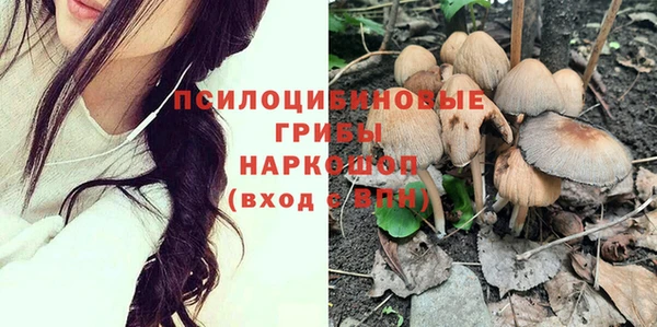 сатива Балабаново